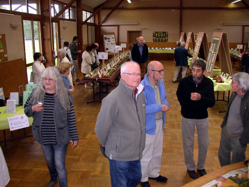Expo champignons a Conde sur Vesgre 30